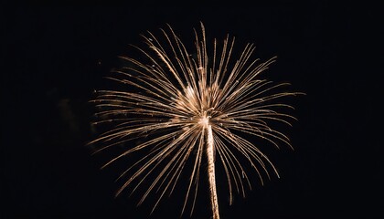 Wall Mural - new year fireworks