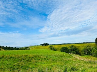 field and blue sky