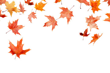 Sticker - Autumn maple leaves falling isolated on white background
