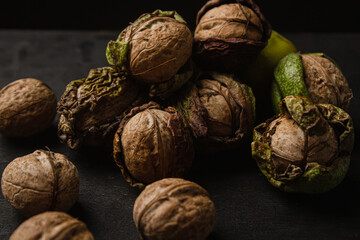 Poster - walnut with skin on black background