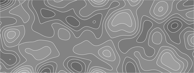 Poster - White paper wave curve relief geometric wave grid line background. wavy topographic map and curved lines. Papercut decoration textured with wavy layers. Gray white topographic map.
