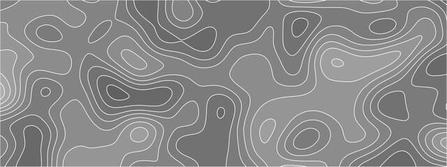Poster - White paper wave curve relief geometric wave grid line background. wavy topographic map and curved lines. Papercut decoration textured with wavy layers. Gray white topographic map.