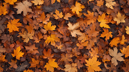 Vibrant Autumn Maple Leaves Background with Colorful Foliage in Warm Orange and Brown Hues