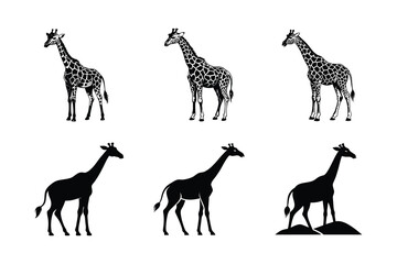 Poster - Collection of Giraffe logo set icons silhouettes vector isolated