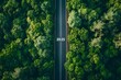 © Ash - Path to 2025: A Road of Growth and Opportunity Through Lush Green Forest