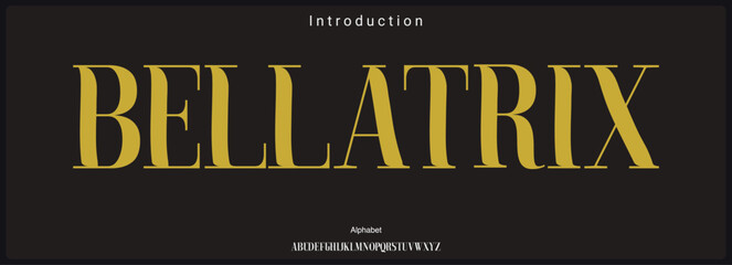 Wall Mural - condensed elegant serif vector font.