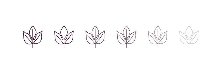 sassafras leaf outline icon. Linear vector from nature concept. 6 different line style sassafras leaf icon included thin, light, regular, medium, bold, black