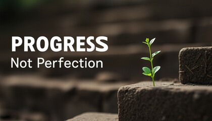 A small green plant growing on stone steps symbolizes progress over perfection.