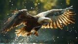 A majestic bald eagle with wings spread wide soars through the air, its talons outstretched as it dives towards the water.