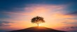 © sakareeya - A solitary tree on a hill under a colorful sunset sky, symbolizing peace and nature's beauty in a serene landscape.
