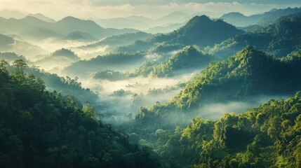 Wall Mural - Mist-covered mountains and lush valleys illuminated by the soft morning sun, offering a serene, panoramic nature view.