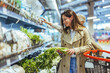 © Dragana Gordic - Young Woman Shopping for Fresh Vegetables in Grocery Store