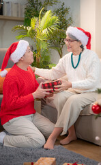 Wall Mural - The mother happily receives a gift from his son during the Christmas holiday at home