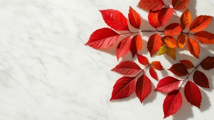 Sticker - Crimson and amber leaves cascading over a marble tabletop with elegant shadows and natural light 