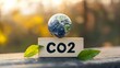 © AndiAzis - Earth globe on top of a wooden block with CO2 written on it, leaves on either side, blurred background.