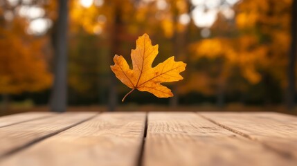 Canvas Print - Single oak leaf drifting towards a wooden tabletop with a blurred background of autumn colors 