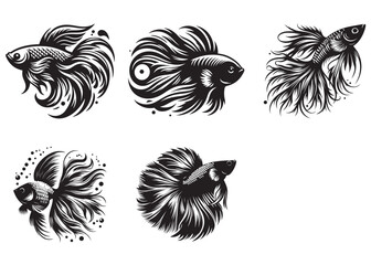 Wall Mural - betta fish silhouette vector illustration, fish vector art silhouette, betta fish silhouette vector 