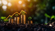 © Weerapat - A visual representation of growth: coins and small plants symbolize financial growth and investment success in a natural setting.