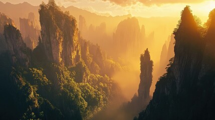 Sunrise over Tianmen Mountain, with golden light illuminating the jagged cliffs and dense forest below.