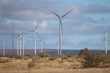 Wind farm in Ireland