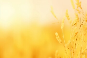 Poster - Grasses yellow pastel background backgrounds agriculture tranquility.