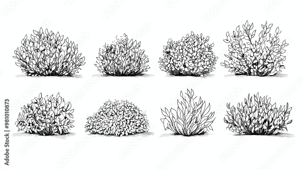 Set of vector bush illustrations on a white background. Architectural ...