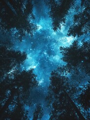 Wall Mural - night sky with trees