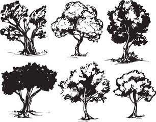 Wall Mural - Set Trees. Hand drawn vector illustration	