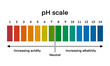© Watthana Tirahimonch - Ph scale diagram, Ph scale graphic, Acid to base, pH scale Infographic acid-base balance, Indicator diagram acidic alkaline measure isolated on white background illustration, Universal pH indicator