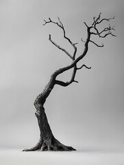 Wall Mural - A solitary, dead tree stands against a plain white background. Its branches reach upward, creating a sense of fragility and loss.