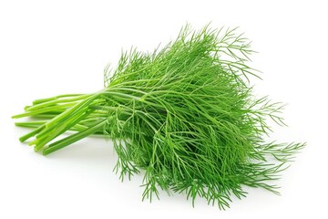 Close-up of fresh dill fronds on a white surface, perfect for food or decorative photography