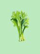 © Connect Images - Watercolor painting of a fresh bunch of celery on a soft green background.