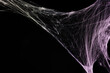 © New Africa - Cobweb against black background, toned in gradient pink color. Space for text