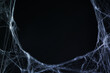 © New Africa - Cobweb against black background, toned in gradient blue color. Space for text