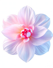 Sticker - pink lotus flower isolated