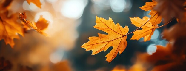 Autumn background with golden and orange maple leaves Autumn concept, fall season nature in close-up view Generative AI