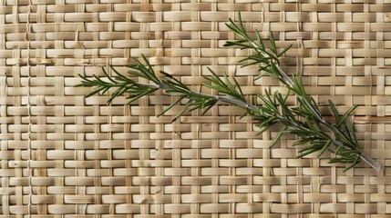 Canvas Print - Rosemary Sprig on Woven Mat