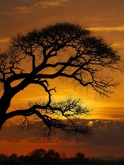 Wall Mural - Dramatic silhouetted tree against a vibrant golden sunset.