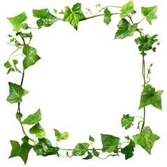 green ivy frame borders.