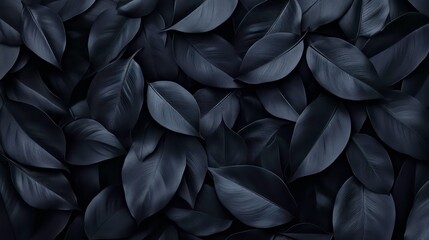 Wall Mural - Dark, moody, textured background of overlapping, black leaves.