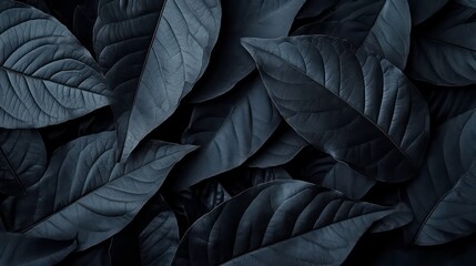 Wall Mural - Dark leaves with textured veins arranged in a symmetrical pattern for a moody backdrop.