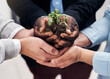© TamJam/peopleimages.com - Hands, business people and plant leaf with sustainability, recycle and eco initiative and growth in office. Collaboration, soil and nurture environment with company carbon footprint accountability