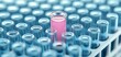 © Kittipong - Vibrant Pink Liquid in Close-Up Test Tube with Blurred Scientific Laboratory Background - Precision Experimentation Concept for Medical Research and Analysis