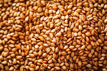 Pile of organic sesame seeds forming a small mound