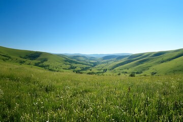 Wall Mural - landscape with grass