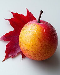 Season - autumn. A perfectly ripe mango with a smooth, yellow to red gradient skin, nestled next to a deep red maple leaf.