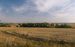 © Sergei - A field of dry grass with a few trees in the background