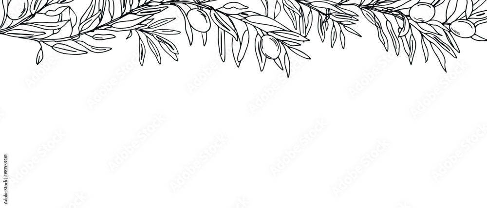 Horizontal Frame, Border with Olive Branches and fruits. Hand drawn ...