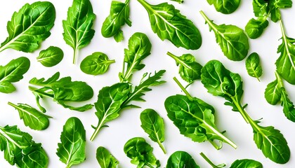 Wall Mural - Vibrant Pattern of Fresh Arugula Leaves on a Clean White Surface