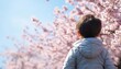 © Pumapala - Little Boy Admires Cherry Blossoms